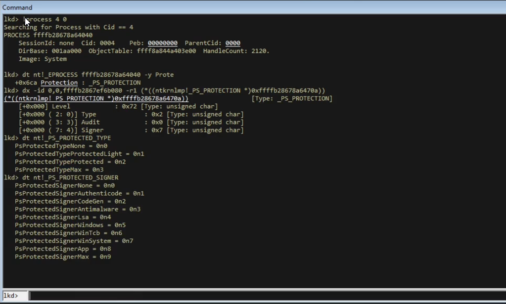_PS_PROTECTIONS structure under the debugger